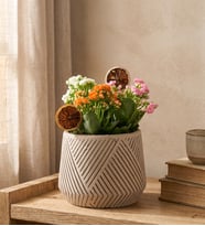 Geometrik Çizgili Saksıda Kalanchoe Bahçesi