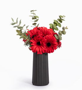 Siyah Çizgili Polimer Vazoda Kırmızı Gerbera Çiçekleri