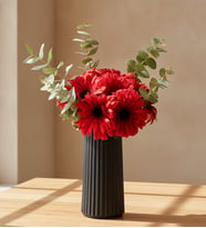 Siyah Çizgili Polimer Vazoda Kırmızı Gerbera Çiçekleri