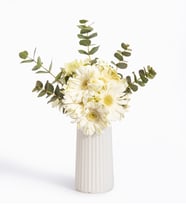 Beyaz Çizgili Polimer Vazoda Beyaz Gerbera Çiçekleri