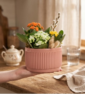 Kiremit Saksıda Renkli Kalanchoe