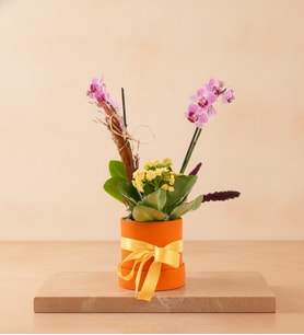 Turuncu Kutuda Mini Mor Orkide ve Sarı Kalanchoe