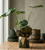 Yeşil Kahve Buketli Sarı Kurdeleli Saksıda Monstera