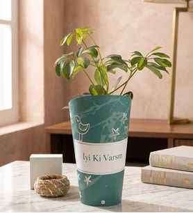 İyi Ki Varsın Karton Saksıda Schefflera