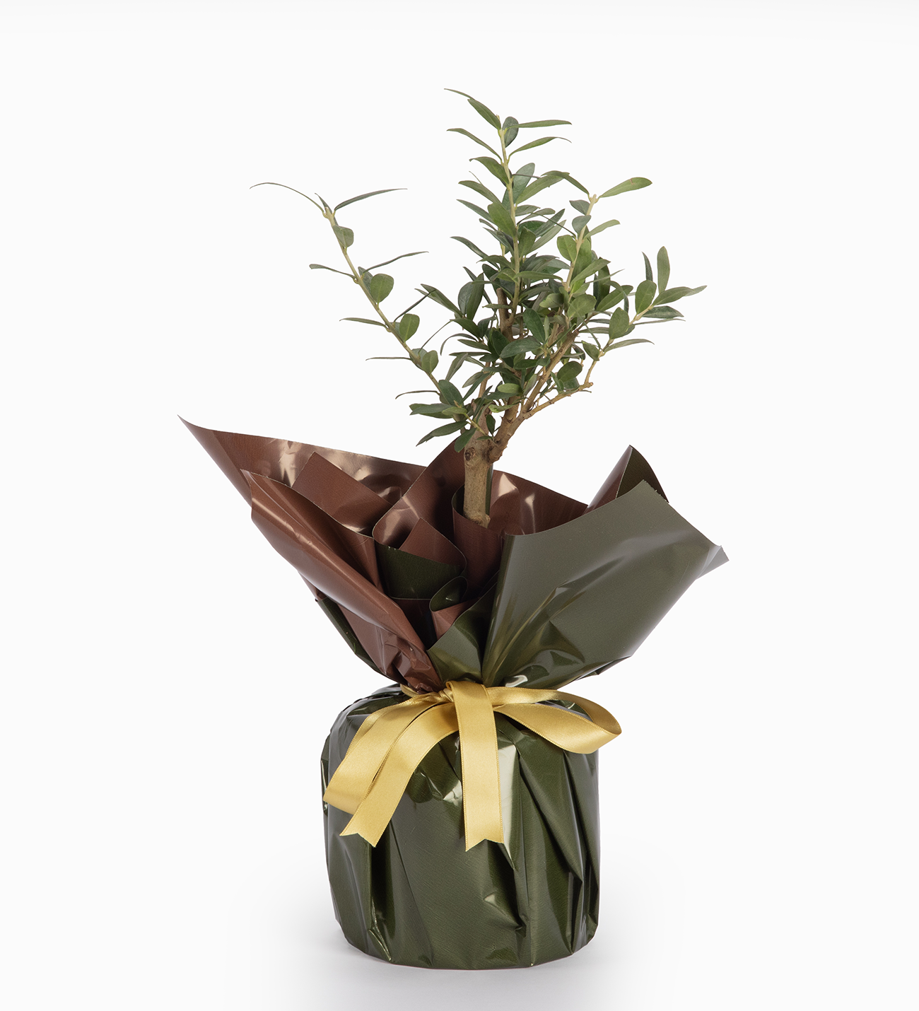 yesil-buketli-polimer-saksida-