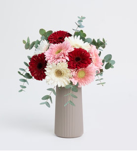 Bej Çizgili Polimer Vazoda Pembe & Beyaz & Kırmızı Gerbera