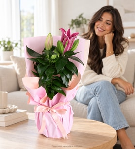 Pembe Buket Kağıtlı Polimer Saksıda Pembe Lilyum
