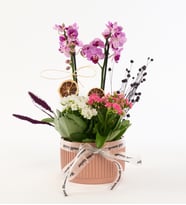 Kiremit Saksıda Mini Mor Orkide ve Kalanchoe