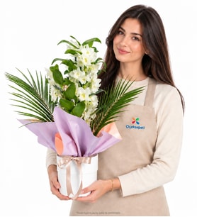 Beyaz Saksıda Lila Pembe Buket Kağıtlı Dendrobium