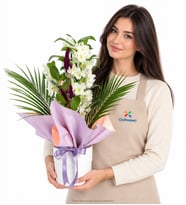 Beyaz Saksıda Lila Pembe Buket Kağıtlı Dendrobium