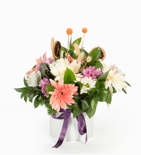 Beyaz Saksıda Papatyalar ve Gerberalar