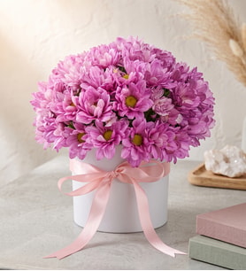 Beyaz Polimer Saksıda Pembe Papatyalar