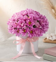 Beyaz Polimer Saksıda Pembe Papatyalar
