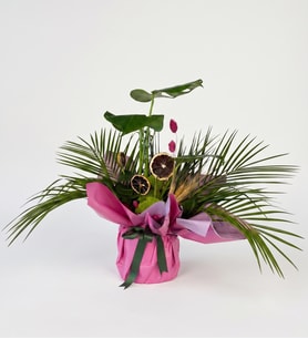 Pembe-Lila Buket Kağıdında Monstera