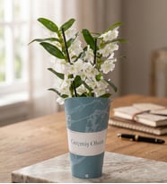 Geçmiş Olsun Saksı Kılıfında Dendrobium