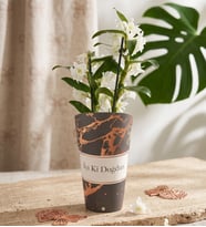 İyi Ki Doğdun Saksı Kılıfında Dendrobium