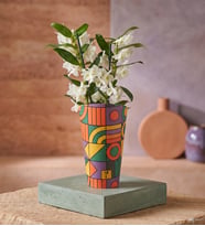 Renkli Saksı Kılıfında Dendrobium