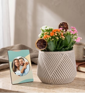 Geometrik Saksıda Kalanchoeler ve Stickerlı Çerçeve