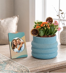 Katmanlı Beton Saksıda Kalanchoeler ve Stickerlı Çerçeve