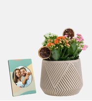 Geometrik Saksıda Kalanchoeler ve Stickerlı Çerçeve