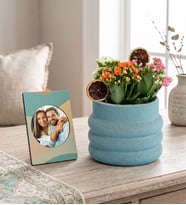 Katmanlı Beton Saksıda Kalanchoeler ve Stickerlı Çerçeve