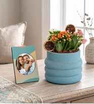 Katmanlı Beton Saksıda Kalanchoeler ve Stickerlı Çerçeve