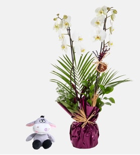 Buket Kağıtlı Çift Dal Orkide ve Peluş Eşek