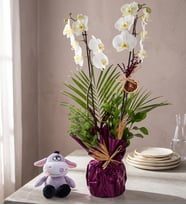 Buket Kağıtlı Çift Dal Orkide ve Peluş Eşek