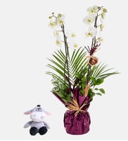 Buket Kağıtlı Çift Dal Orkide ve Peluş Eşek