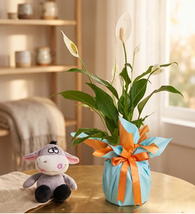 Buket Kağıtlı Saksıda Barış Çiçeği ve Peluş Eşek