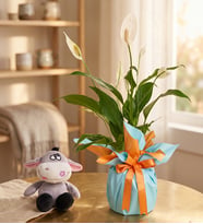 Buket Kağıtlı Saksıda Barış Çiçeği ve Peluş Eşek
