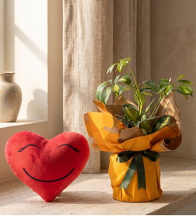 Buket Kağıtlı Saksıda Schefflera ve Kalp Yastık