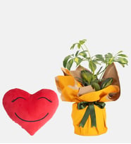 Buket Kağıtlı Saksıda Schefflera ve Kalp Yastık
