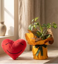 Buket Kağıtlı Saksıda Schefflera ve Kalp Yastık