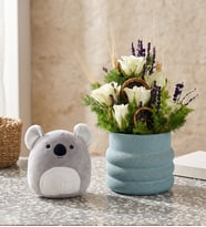 Katmanlı Beton Saksıda Beyaz Gül ve Koala Yastık