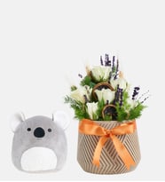 Desenli Saksıda Beyaz Gül ve Koala Yastık