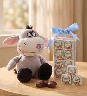 Hoş Geldin Bebek Mavi Lezzet Kutusu ve Peluş Eşek