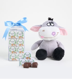 Hoş Geldin Bebek Mavi Lezzet Kutusu ve Peluş Eşek