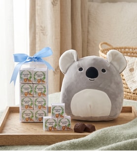 Hoş Geldin Bebek Mavi Lezzet Kutusu & Koala Yastık