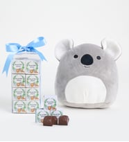 Hoş Geldin Bebek Mavi Lezzet Kutusu & Koala Yastık