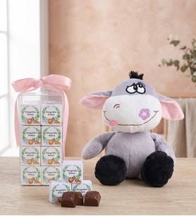 Hoş Geldin Bebek Pembe Lezzet Kutusu ve Peluş Eşek