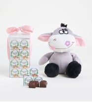 Hoş Geldin Bebek Pembe Lezzet Kutusu ve Peluş Eşek