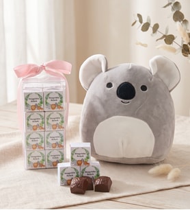 Hoş Geldin Bebek Pembe Lezzet Kutusu & Koala Yastık