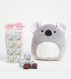 Hoş Geldin Bebek Pembe Lezzet Kutusu & Koala Yastık