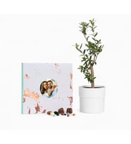 Zeytin Ağacı Bonsai ve Karışık Gurme Lezzetler
