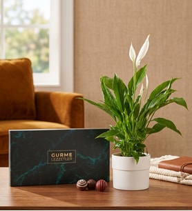 Saksıda Spatifilyum ve Karışık Gurme Lezzetler