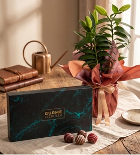Buket Kağıtlı Saksı Lilyum ve Gurme Lezzetler