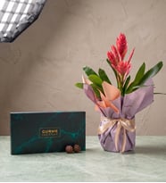 Sürprizli Saksılı Alev Kılıcı Çiçeği ve Gurme Lezzetler