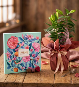 Buket Kağıtlı Saksı Lilyum ve Karma Gurme Lezzetler