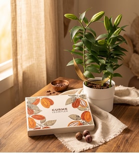 Saksıda Lilyum ve Gurme Lezzetler